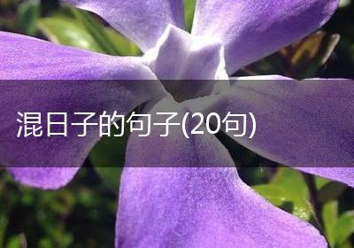 混日子的句子(20句)