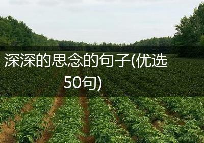 深深的思念的句子(优选50句)