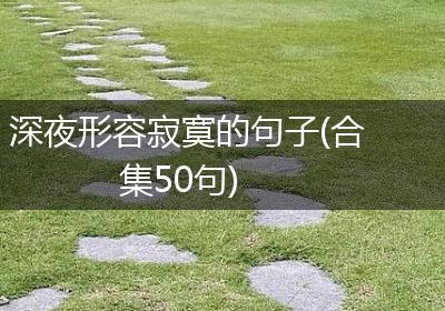 深夜形容寂寞的句子(合集50句)