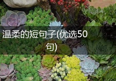 温柔的短句子(优选50句)