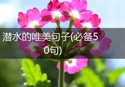 潜水的唯美句子(必备50句)