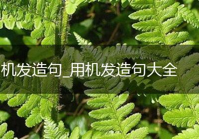 机发造句_用机发造句大全