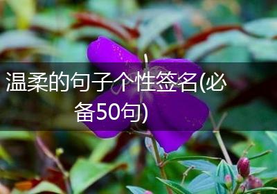 温柔的句子个性签名(必备50句)