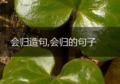 会归造句,会归的句子