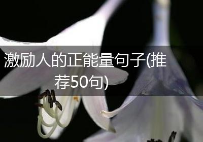 激励人的正能量句子(推荐50句)