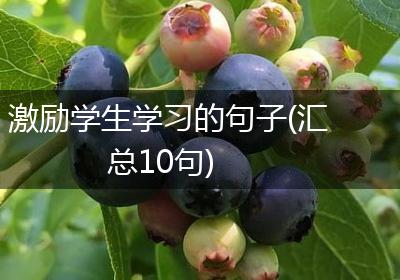 激励学生学习的句子(汇总10句)