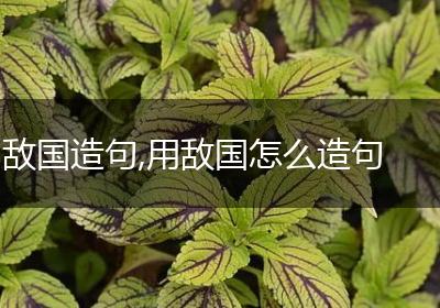 敌国造句,用敌国怎么造句
