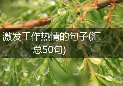 激发工作热情的句子(汇总50句)