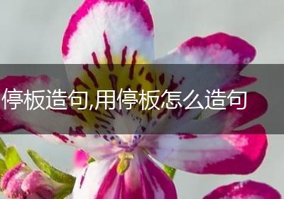 停板造句,用停板怎么造句