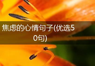 焦虑的心情句子(优选50句)