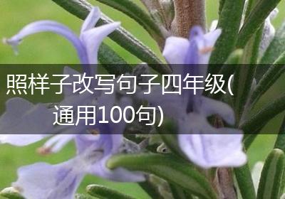 照样子改写句子四年级(通用100句)