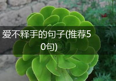 爱不释手的句子(推荐50句)