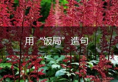 用“饭局”造句