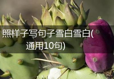 照样子写句子雪白雪白(通用10句)