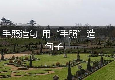 手照造句_用“手照”造句子