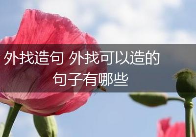 外找造句 外找可以造的句子有哪些