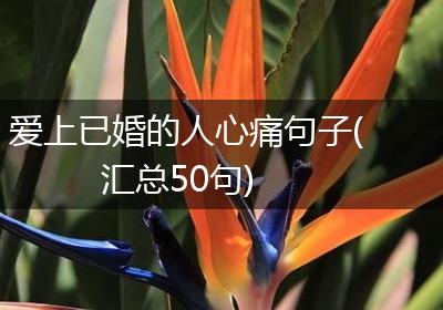 爱上已婚的人心痛句子(汇总50句)