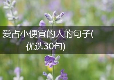 爱占小便宜的人的句子(优选30句)