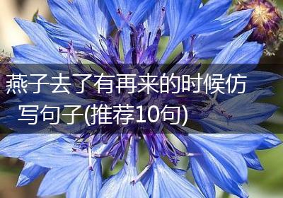 燕子去了有再来的时候仿写句子(推荐10句)