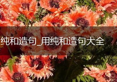 纯和造句_用纯和造句大全