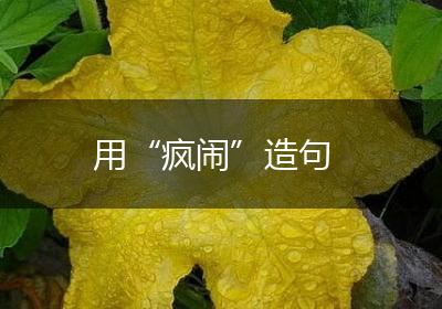 用“疯闹”造句