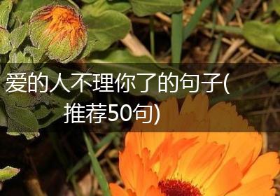 爱的人不理你了的句子(推荐50句)