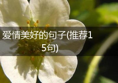 爱情美好的句子(推荐15句)