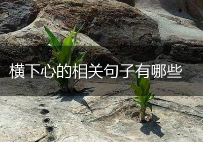 横下心的相关句子有哪些