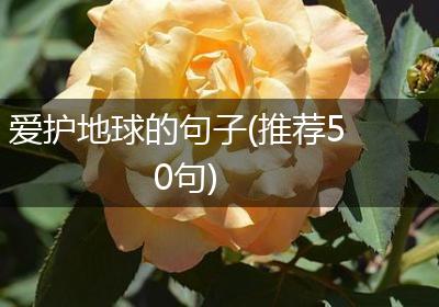 爱护地球的句子(推荐50句)
