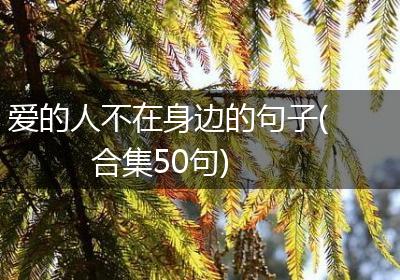 爱的人不在身边的句子(合集50句)