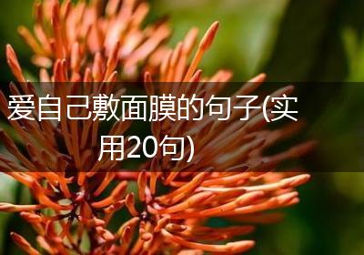 爱自己敷面膜的句子(实用20句)