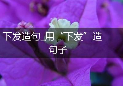 下发造句_用“下发”造句子