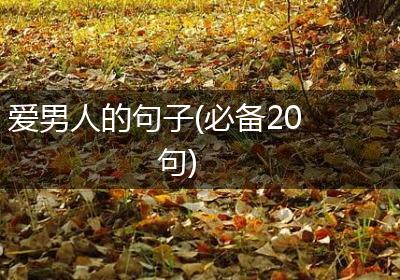 爱男人的句子(必备20句)