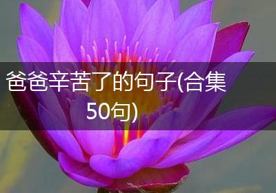 爸爸辛苦了的句子(合集50句)