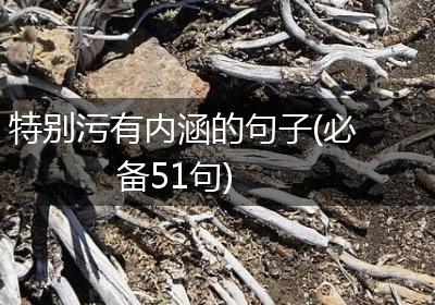 特别污有内涵的句子(必备51句)