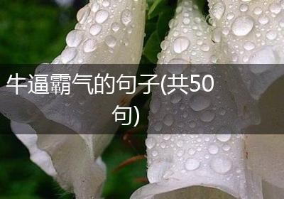 牛逼霸气的句子(共50句)