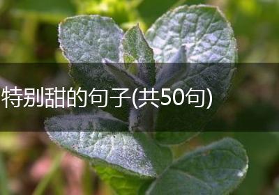 特别甜的句子(共50句)