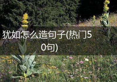 犹如怎么造句子(热门50句)