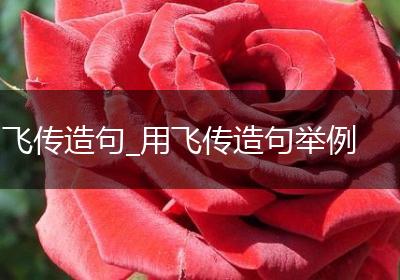 飞传造句_用飞传造句举例
