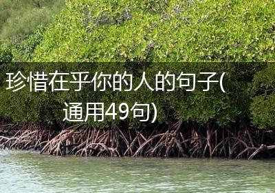 珍惜在乎你的人的句子(通用49句)