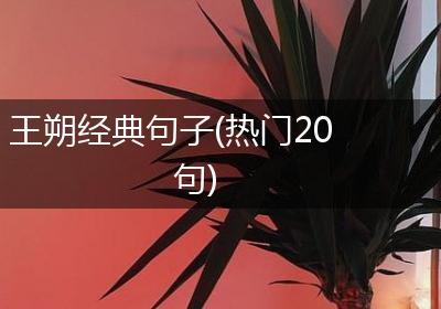 王朔经典句子(热门20句)