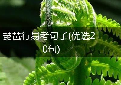 琵琶行易考句子(优选20句)