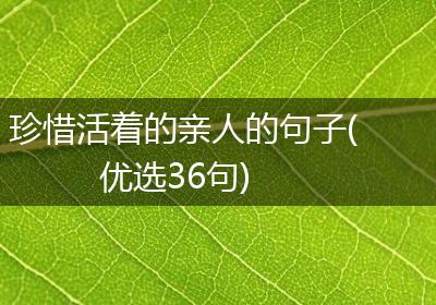 珍惜活着的亲人的句子(优选36句)