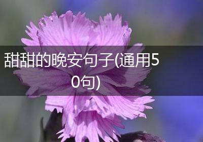 甜甜的晚安句子(通用50句)