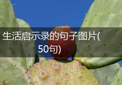 生活启示录的句子图片(50句)