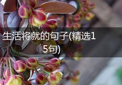生活将就的句子(精选15句)