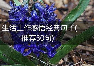 生活工作感悟经典句子(推荐30句)