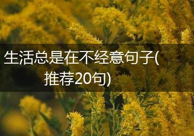 生活总是在不经意句子(推荐20句)