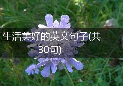 生活美好的英文句子(共30句)