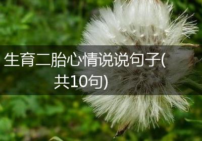 生育二胎心情说说句子(共10句)